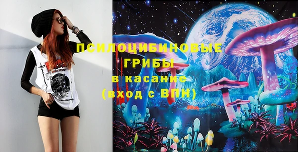 ECSTASY Михайлов