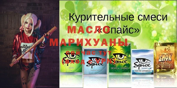 МДПВ Нея