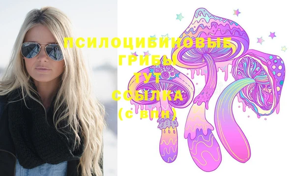 МДПВ Нея