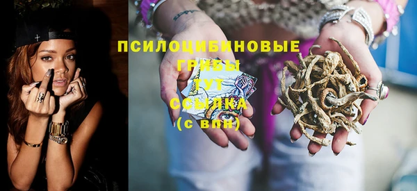 индика Навашино