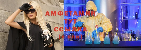 МДПВ Нея