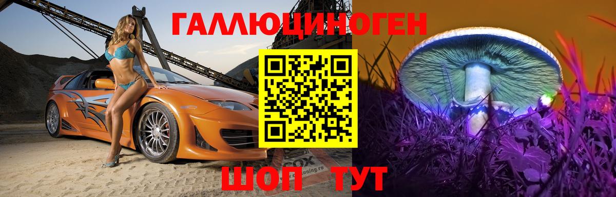 закладка  Вход с VPN  Заинск  Псилоцибиновые грибы Psilocybine cubensis 